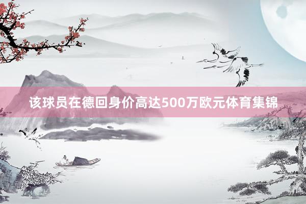 该球员在德回身价高达500万欧元体育集锦