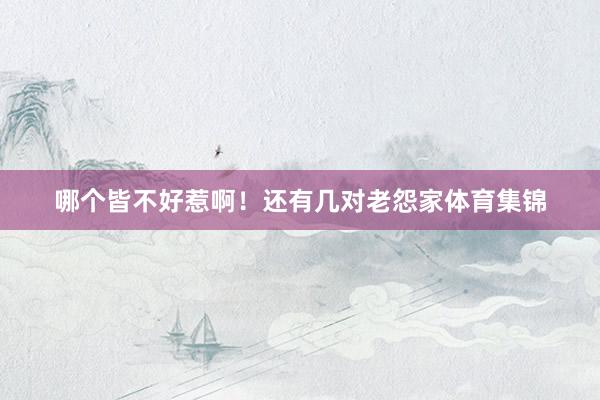 哪个皆不好惹啊！还有几对老怨家体育集锦