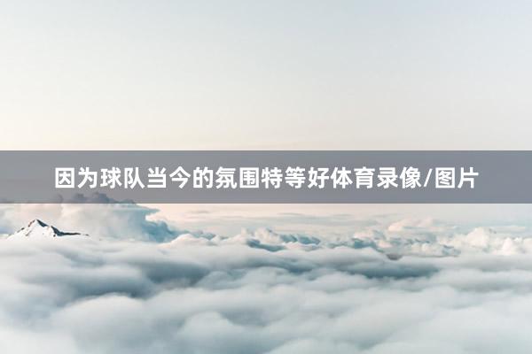 因为球队当今的氛围特等好体育录像/图片