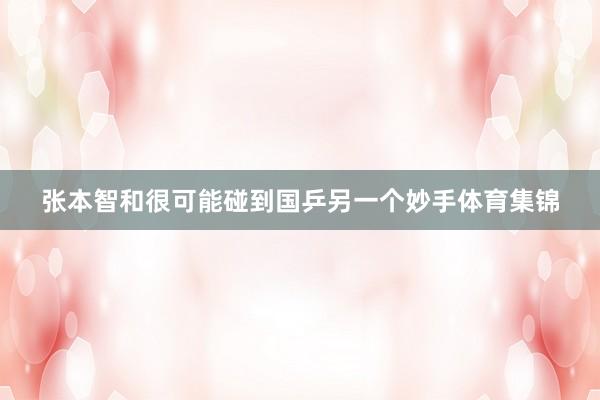 张本智和很可能碰到国乒另一个妙手体育集锦