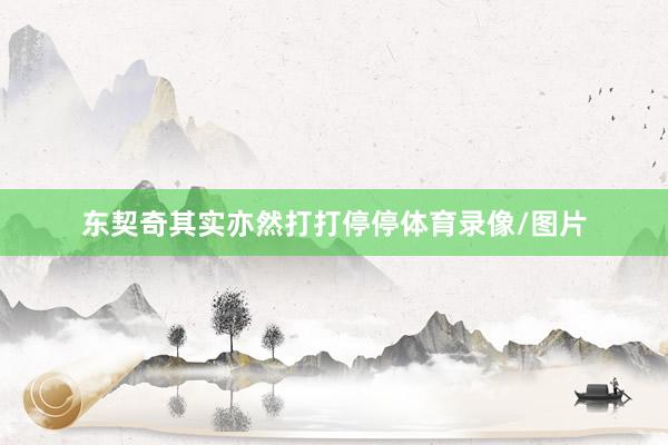 东契奇其实亦然打打停停体育录像/图片