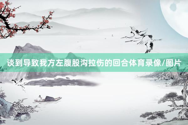谈到导致我方左腹股沟拉伤的回合体育录像/图片