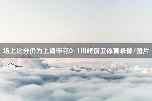 场上比分仍为上海申花0-1川崎前卫体育录像/图片