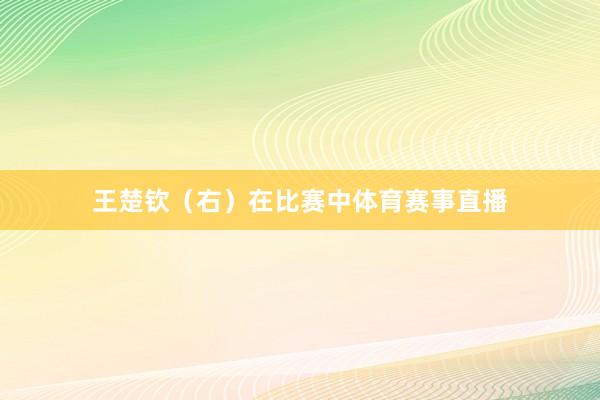 王楚钦（右）在比赛中体育赛事直播
