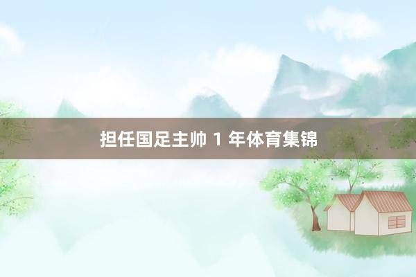 担任国足主帅 1 年体育集锦