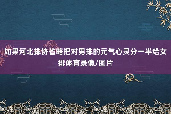 如果河北排协省略把对男排的元气心灵分一半给女排体育录像/图片