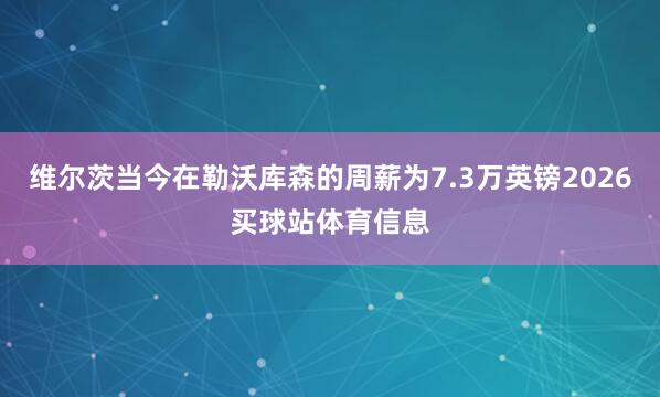 维尔茨当今在勒沃库森的周薪为7.3万英镑2026买球站体育信息