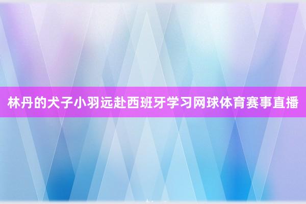 林丹的犬子小羽远赴西班牙学习网球体育赛事直播