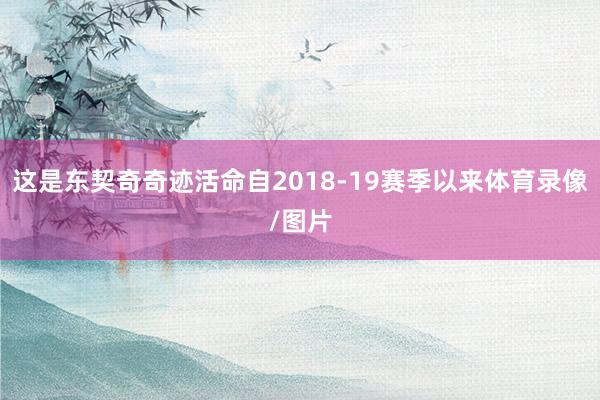 这是东契奇奇迹活命自2018-19赛季以来体育录像/图片