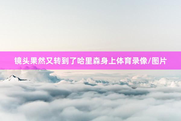 镜头果然又转到了哈里森身上体育录像/图片