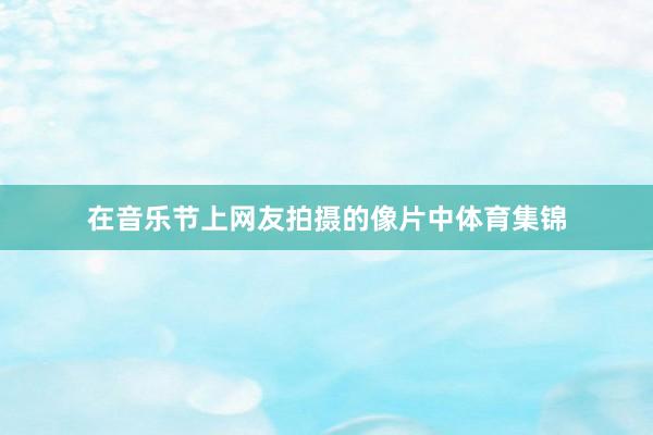 在音乐节上网友拍摄的像片中体育集锦