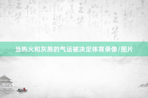 当热火和灰熊的气运被决定体育录像/图片