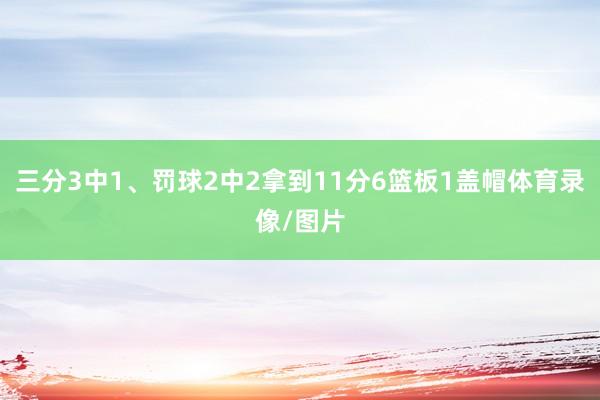 三分3中1、罚球2中2拿到11分6篮板1盖帽体育录像/图片