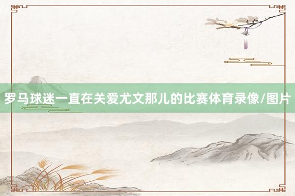 罗马球迷一直在关爱尤文那儿的比赛体育录像/图片