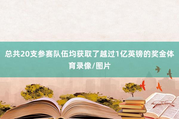 总共20支参赛队伍均获取了越过1亿英镑的奖金体育录像/图片