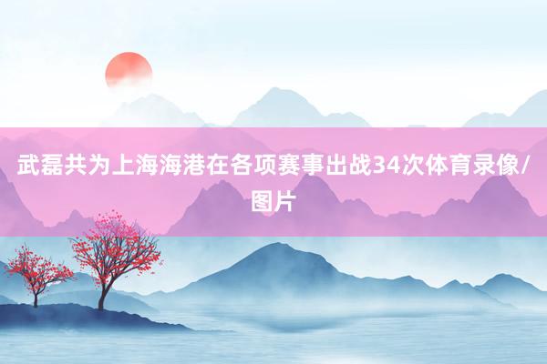 武磊共为上海海港在各项赛事出战34次体育录像/图片