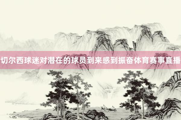 切尔西球迷对潜在的球员到来感到振奋体育赛事直播
