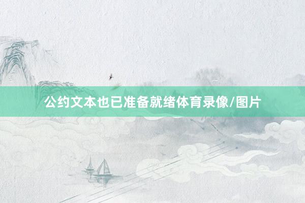 公约文本也已准备就绪体育录像/图片