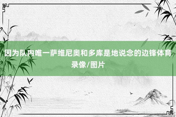 因为队内唯一萨维尼奥和多库是地说念的边锋体育录像/图片