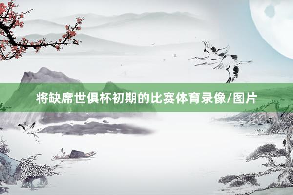 将缺席世俱杯初期的比赛体育录像/图片