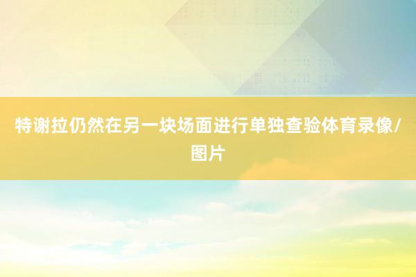 特谢拉仍然在另一块场面进行单独查验体育录像/图片