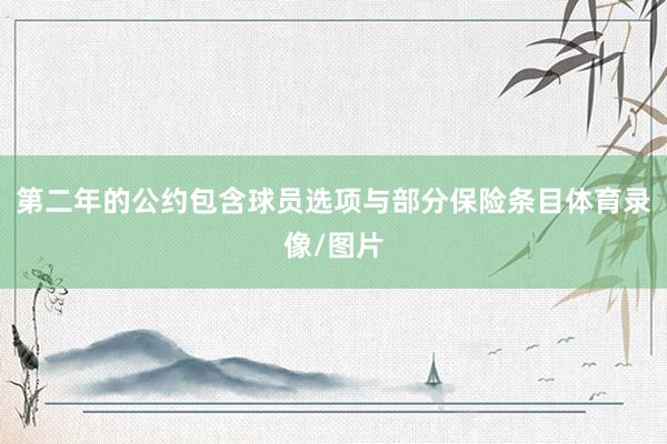 第二年的公约包含球员选项与部分保险条目体育录像/图片