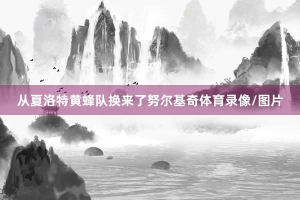 从夏洛特黄蜂队换来了努尔基奇体育录像/图片