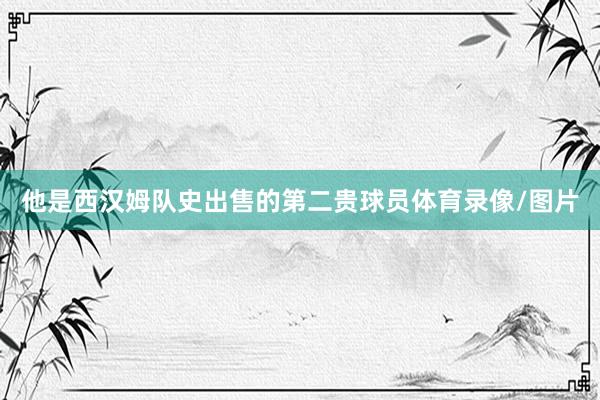 他是西汉姆队史出售的第二贵球员体育录像/图片