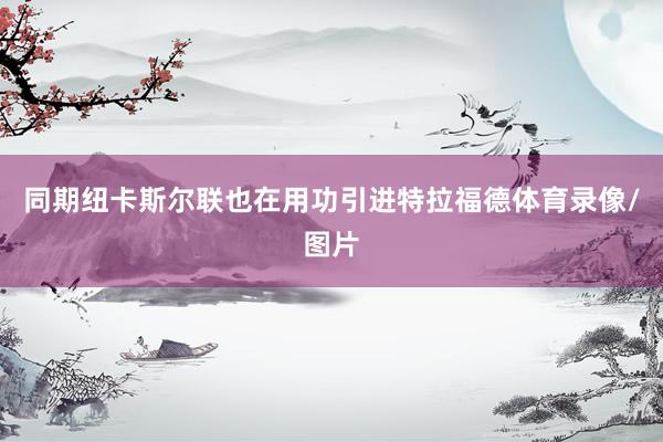同期纽卡斯尔联也在用功引进特拉福德体育录像/图片