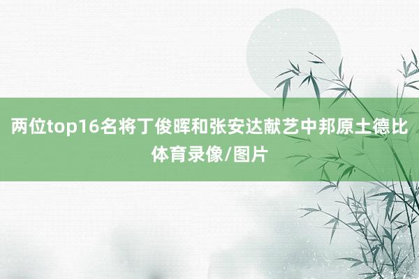 两位top16名将丁俊晖和张安达献艺中邦原土德比体育录像/图片