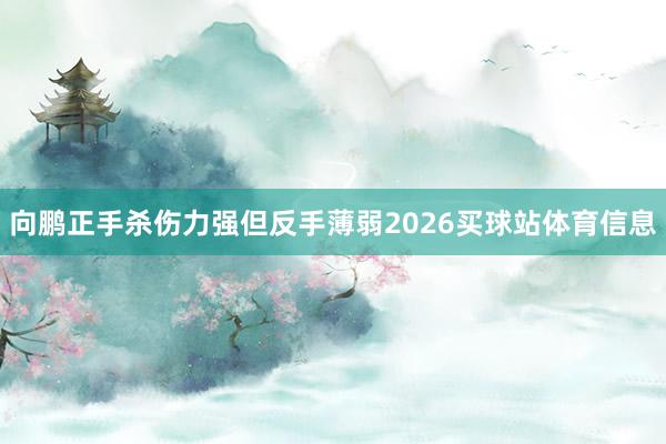 向鹏正手杀伤力强但反手薄弱2026买球站体育信息