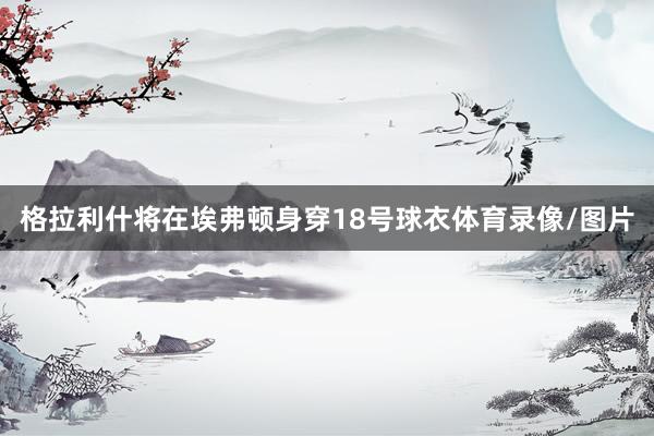 格拉利什将在埃弗顿身穿18号球衣体育录像/图片