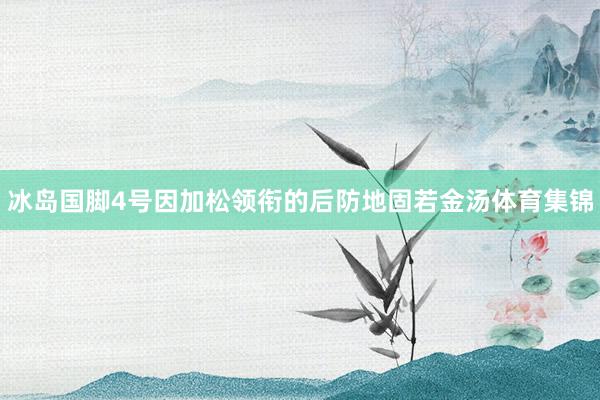 冰岛国脚4号因加松领衔的后防地固若金汤体育集锦