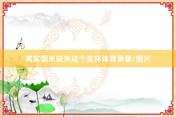其实国米缺失这个奖杯体育录像/图片