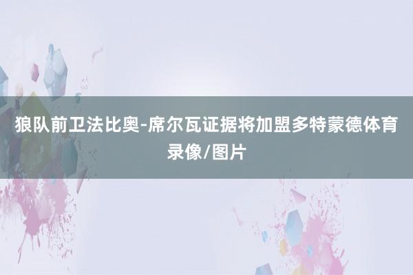 狼队前卫法比奥-席尔瓦证据将加盟多特蒙德体育录像/图片