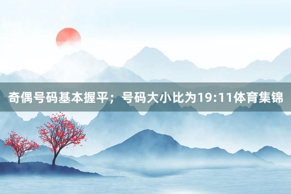 奇偶号码基本握平；号码大小比为19:11体育集锦