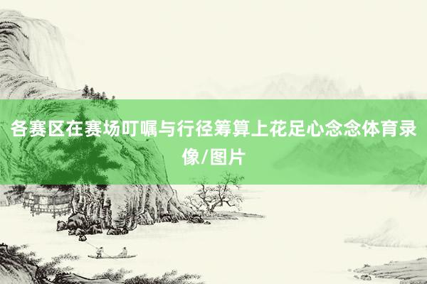 各赛区在赛场叮嘱与行径筹算上花足心念念体育录像/图片