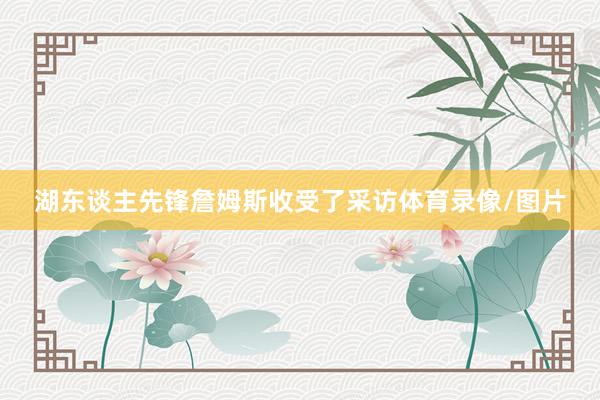 湖东谈主先锋詹姆斯收受了采访体育录像/图片