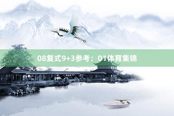 08　　复式9+3参考：01体育集锦