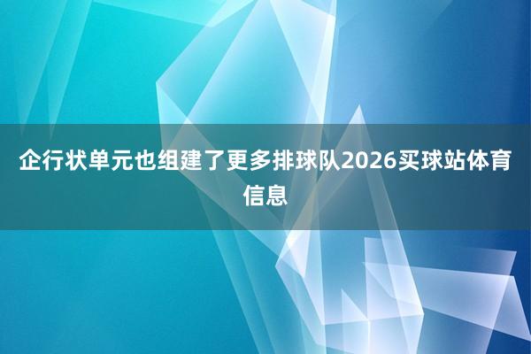 企行状单元也组建了更多排球队2026买球站体育信息