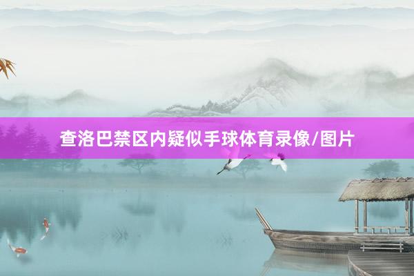 查洛巴禁区内疑似手球体育录像/图片