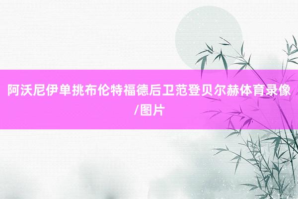 阿沃尼伊单挑布伦特福德后卫范登贝尔赫体育录像/图片