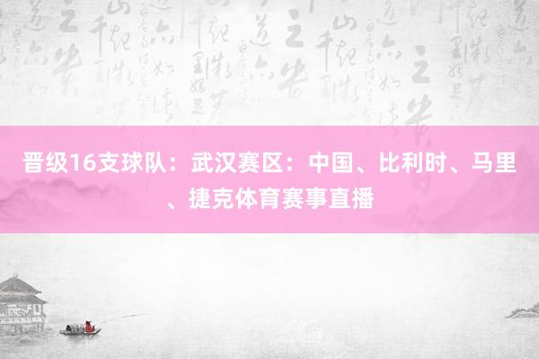 晋级16支球队：武汉赛区：中国、比利时、马里、捷克体育赛事直播