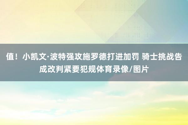 值！小凯文·波特强攻施罗德打进加罚 骑士挑战告成改判紧要犯规体育录像/图片