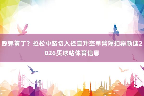 踩弹簧了？拉松中路切入径直升空单臂隔扣霍勒迪2026买球站体育信息