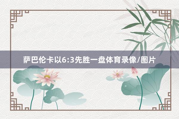 萨巴伦卡以6:3先胜一盘体育录像/图片