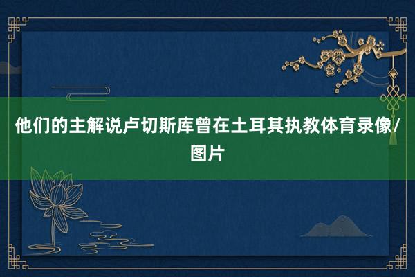 他们的主解说卢切斯库曾在土耳其执教体育录像/图片