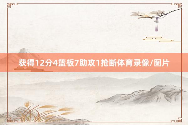 获得12分4篮板7助攻1抢断体育录像/图片