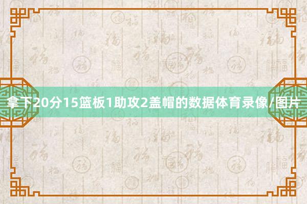 拿下20分15篮板1助攻2盖帽的数据体育录像/图片