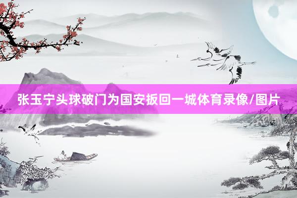 张玉宁头球破门为国安扳回一城体育录像/图片
